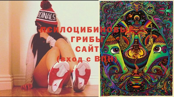 мескалин Богданович