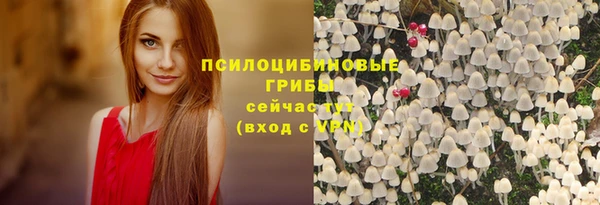 2c-b Богородицк